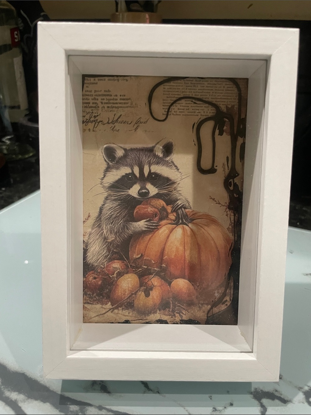 “Racoon Feast” shadow box mixed media art piece